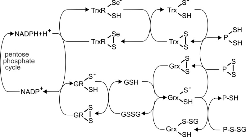 FIG. 3.