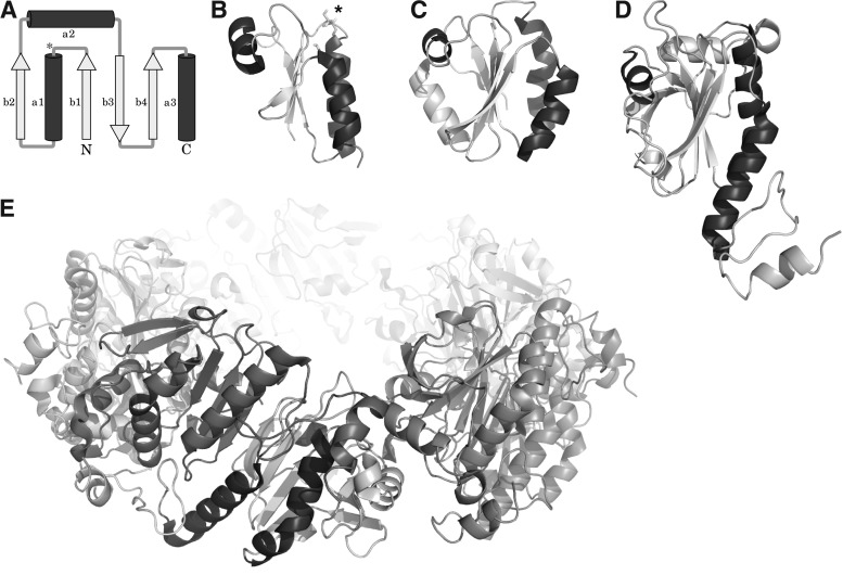 FIG. 2.