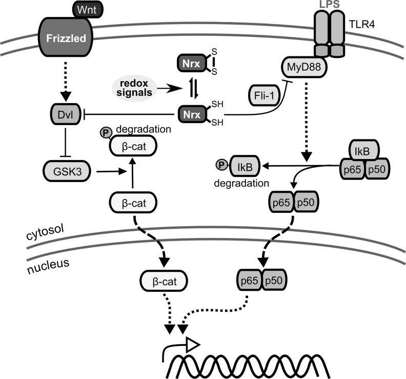 FIG. 10.