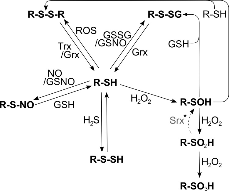 FIG. 7.