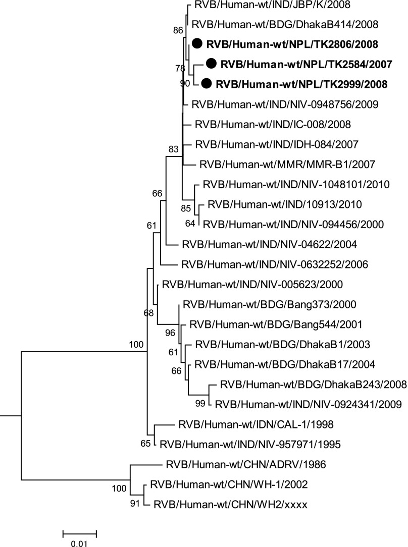 Fig. 3.