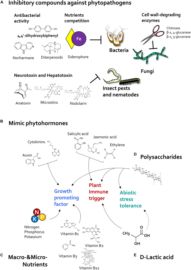 FIGURE 3