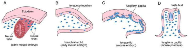 Fig. 9