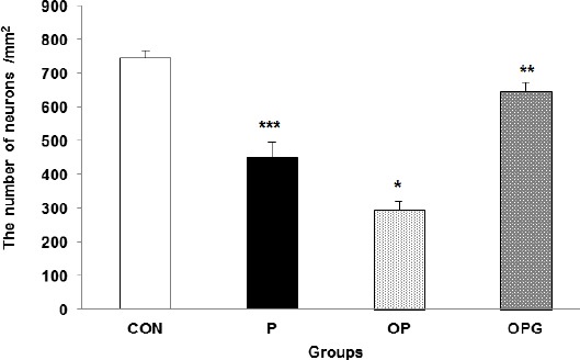 Figure 5A