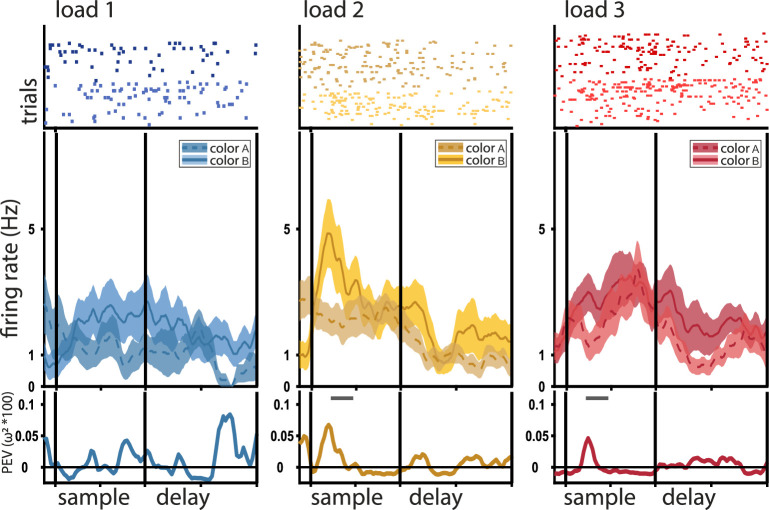 Figure 2—figure supplement 2.