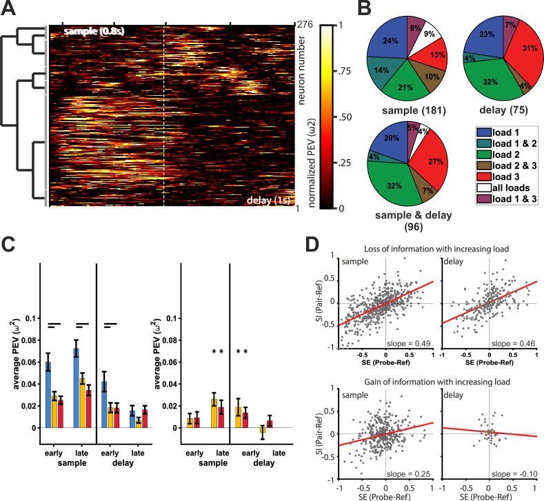 Figure 3—figure supplement 2.