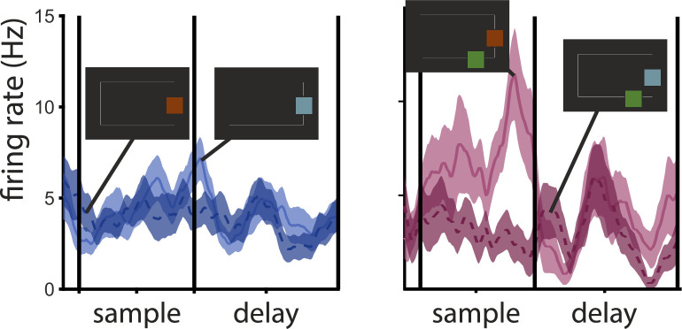 Figure 5—figure supplement 2.