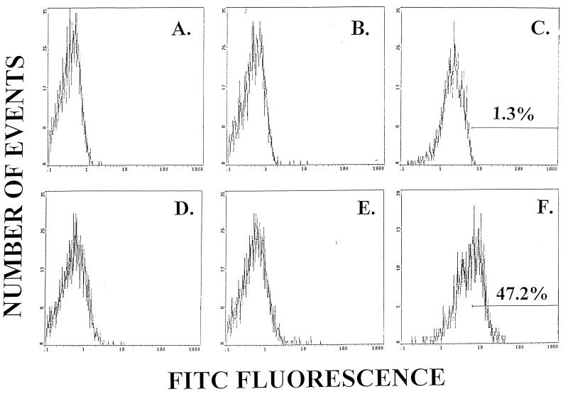 FIG. 1