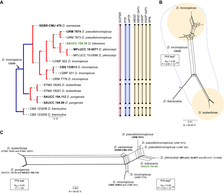 Fig. 17