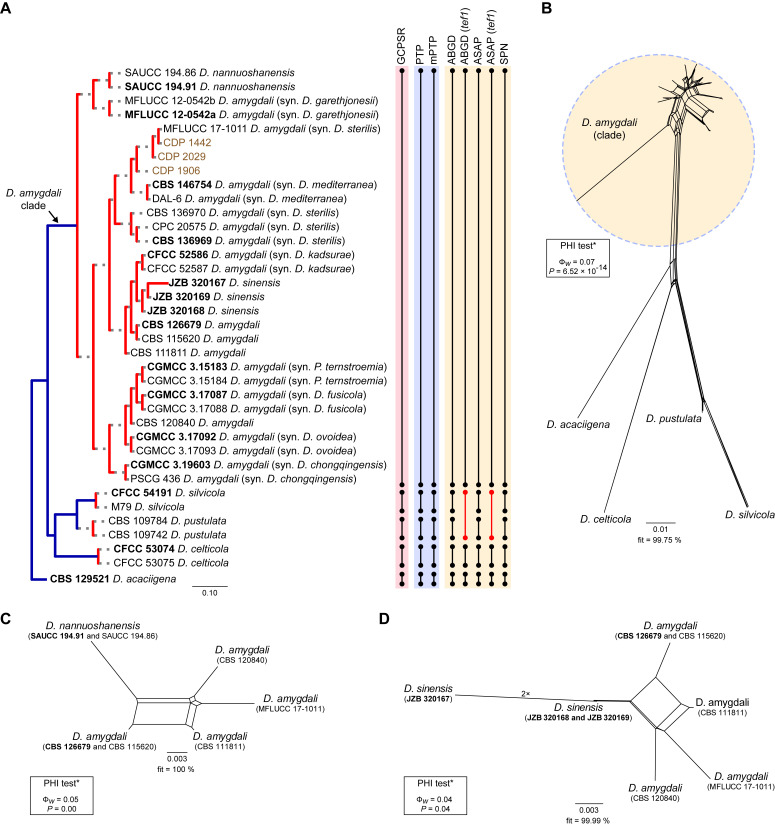 Fig. 12