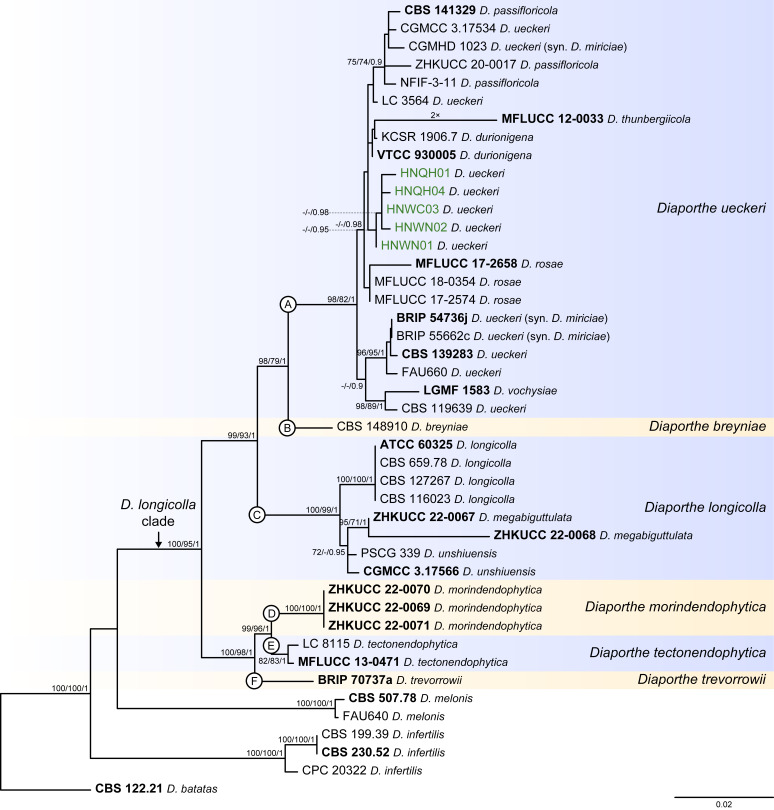 Fig. 9