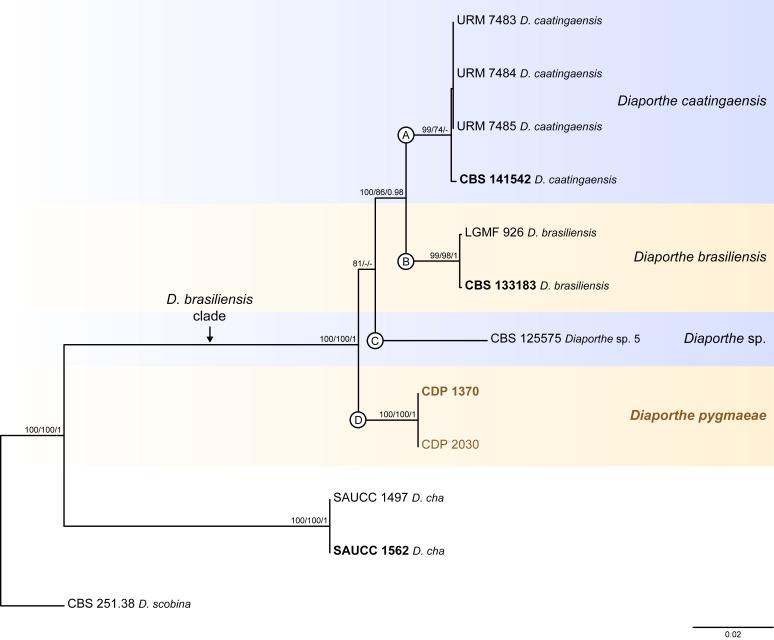 Fig. 3