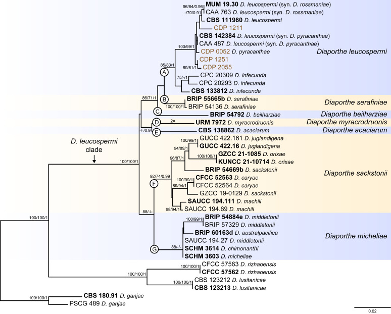 Fig. 8