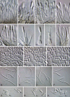 Fig. 23