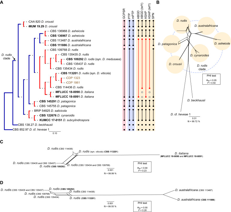 Fig. 20