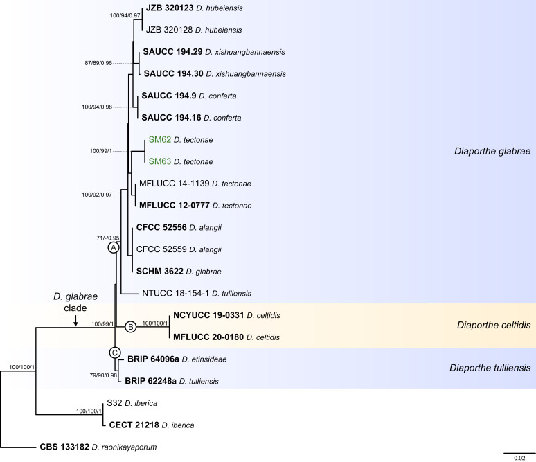 Fig. 6