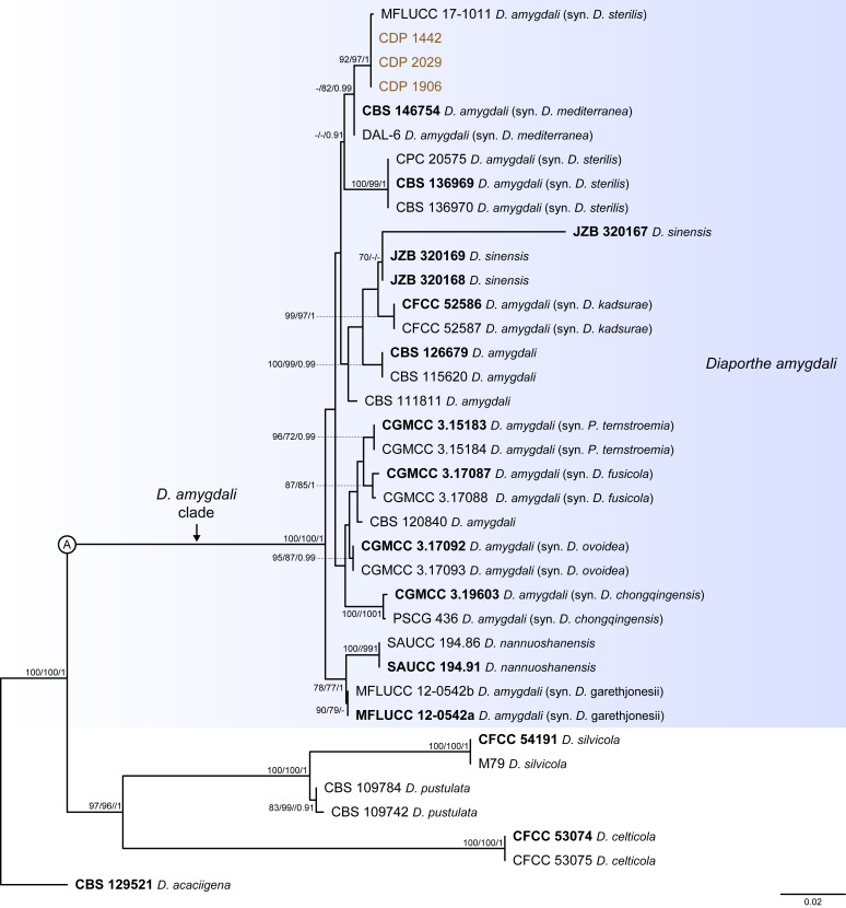 Fig. 2