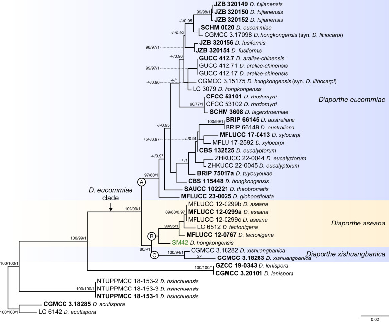 Fig. 4