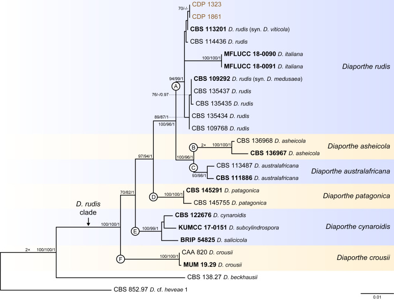 Fig. 10