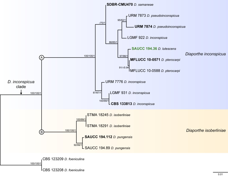 Fig. 7