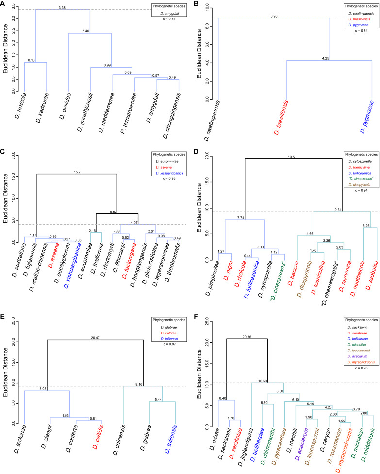 Fig. 21