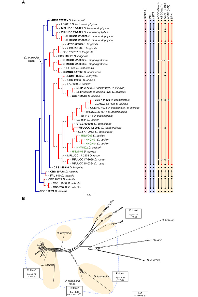 Fig. 19