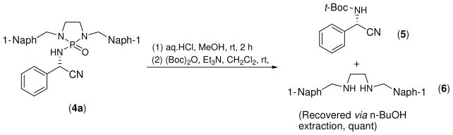 Scheme 5