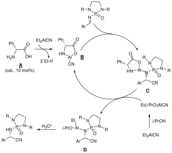 Scheme 2