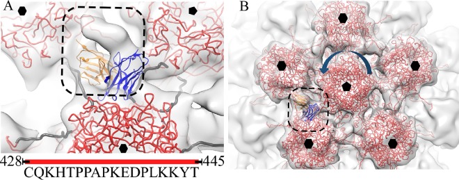 FIG 7