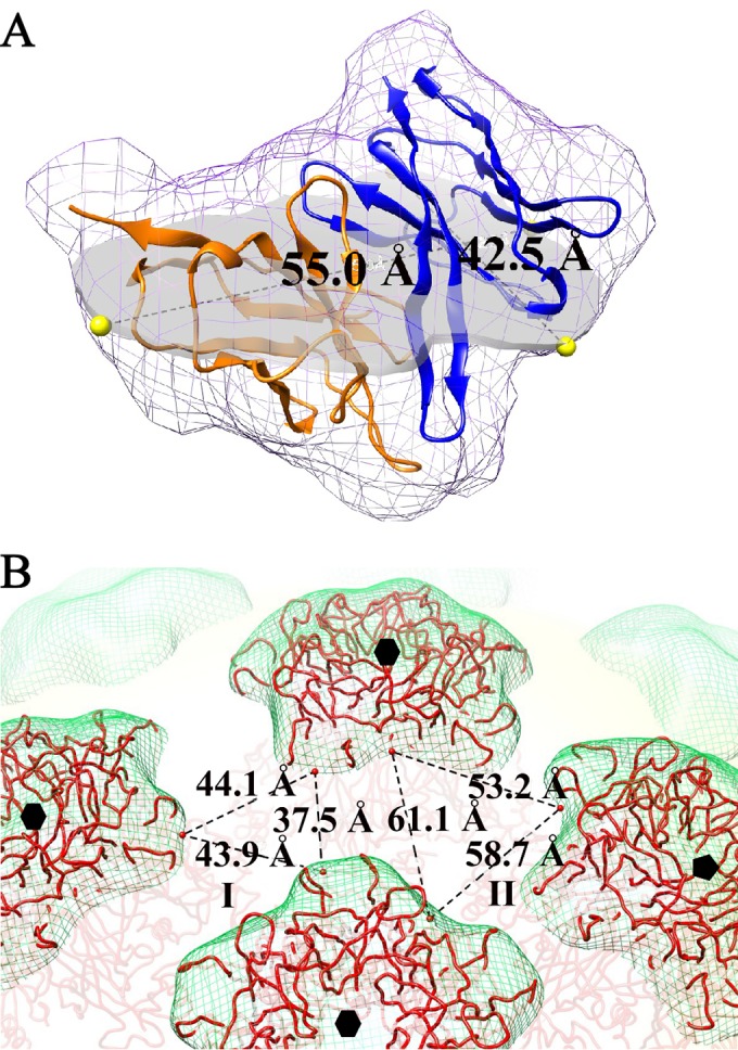 FIG 6