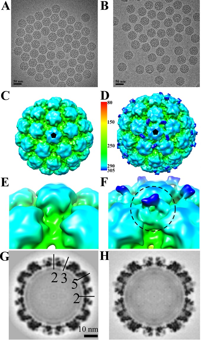 FIG 1