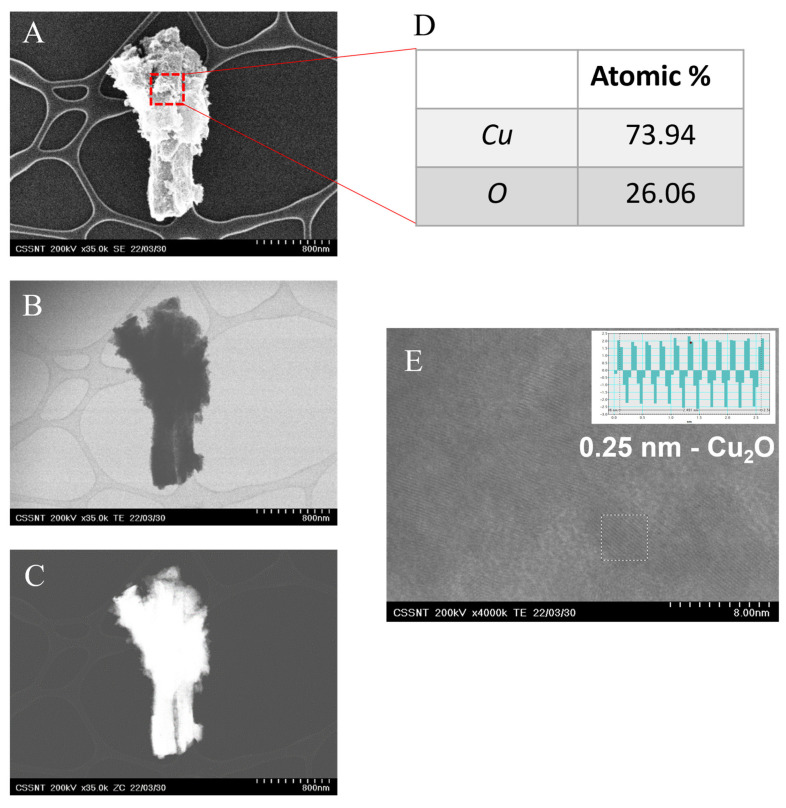 Figure 5