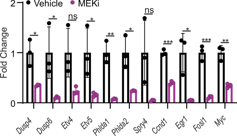 Figure 5—figure supplement 2.