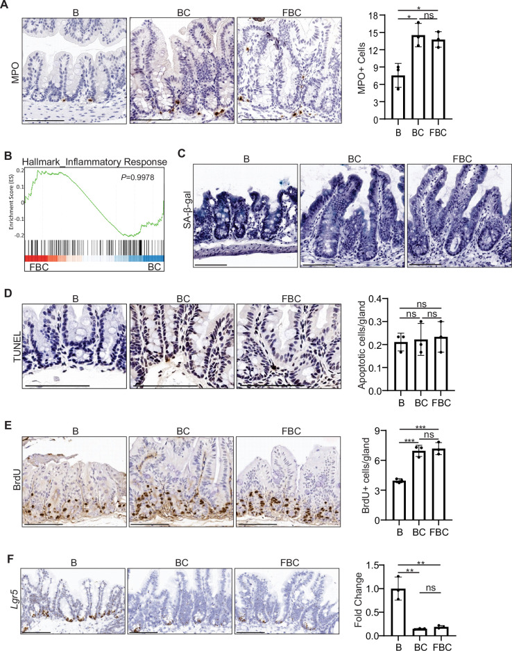 Figure 4—figure supplement 1.