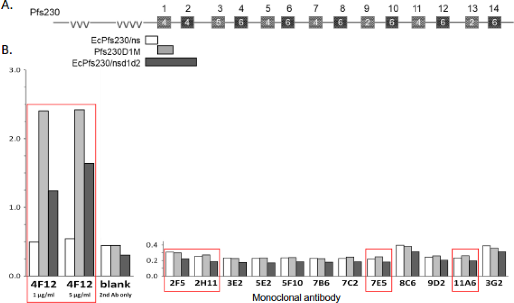 Figure 5