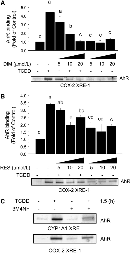 FIGURE 4 