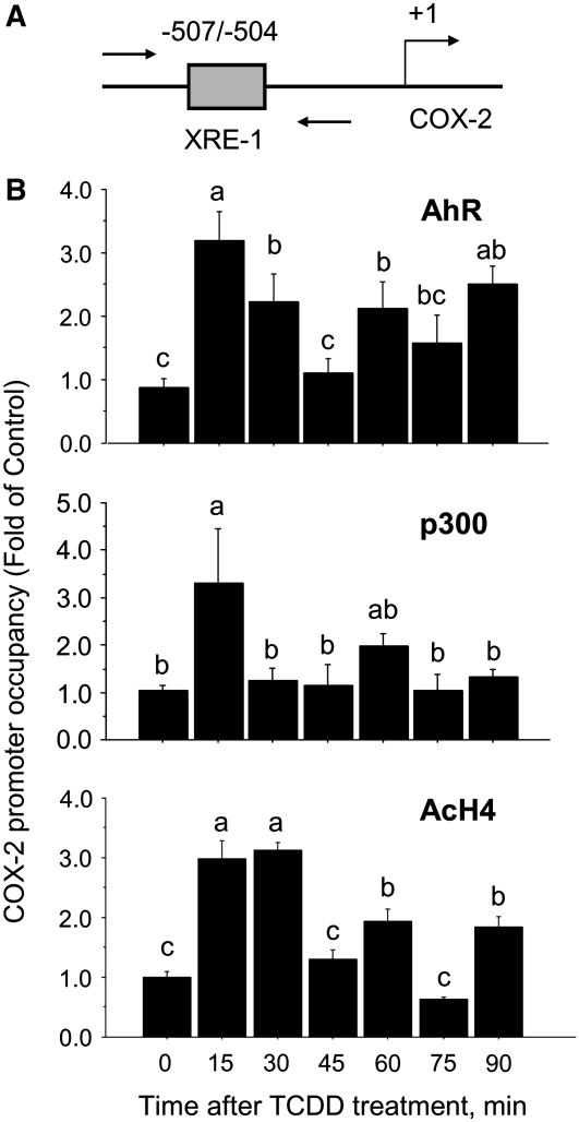 FIGURE 3 