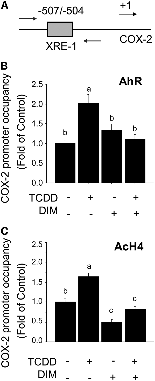 FIGURE 5 