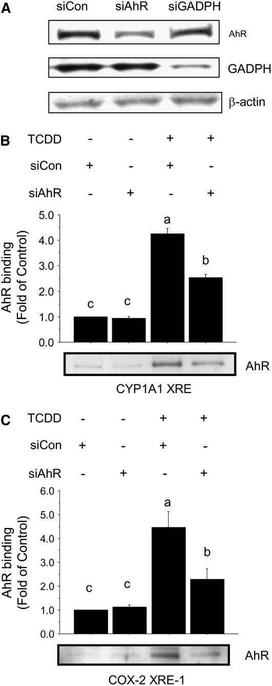 FIGURE 2 