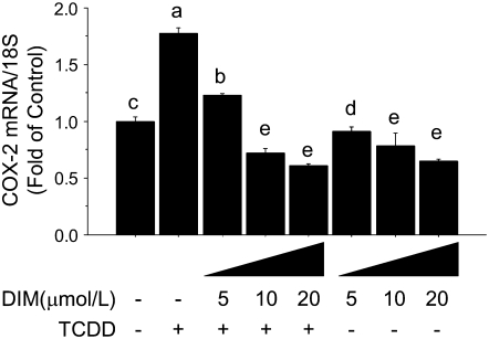 FIGURE 6 