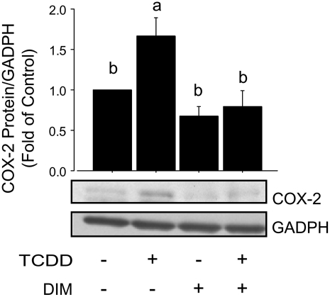 FIGURE 7 