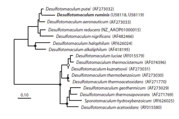 Figure 6A