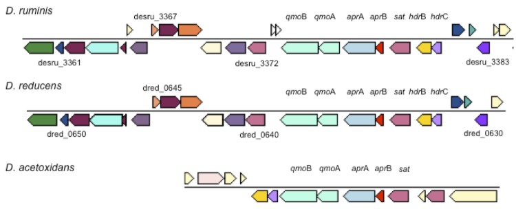 Figure 5B