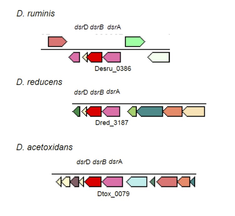 Figure 5A