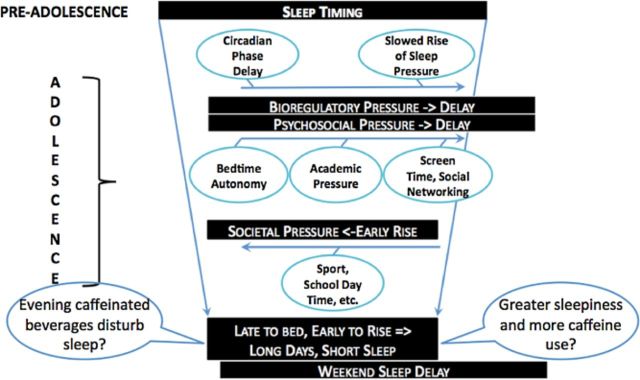 graphic file with name nure12147-fig-0002.jpg