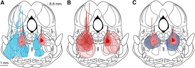 Figure 5.