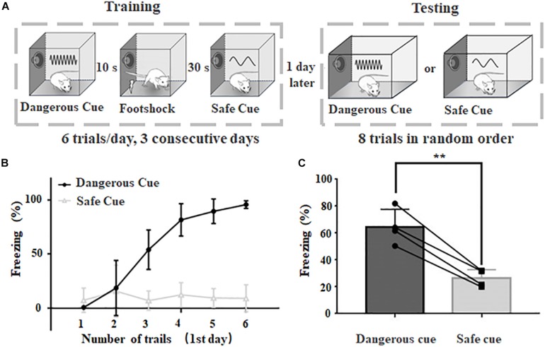 FIGURE 1