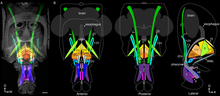 Figure 3.