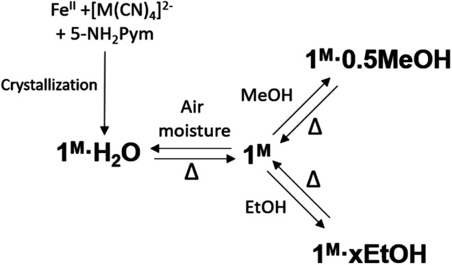 Scheme 2