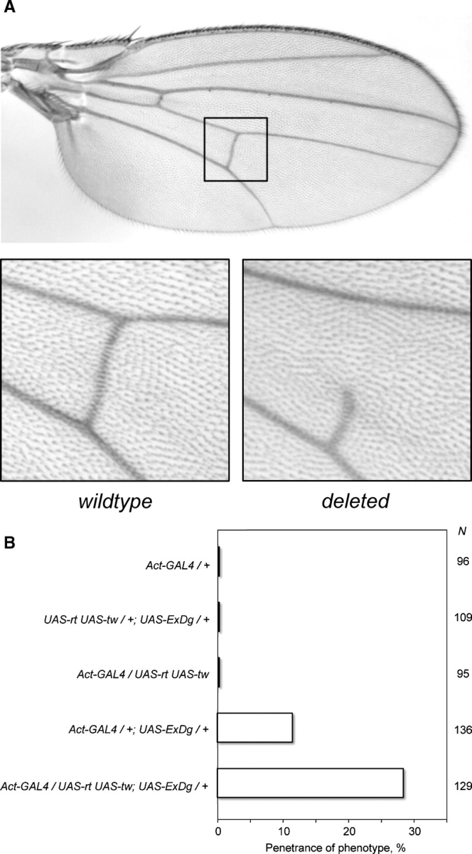 Fig. 9